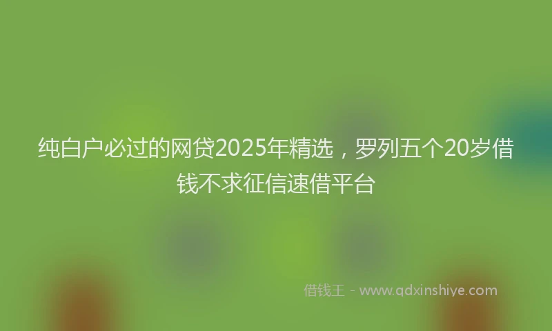 纯白户必过的网贷2025年精选，罗列五个20岁借钱不求征信速借平台