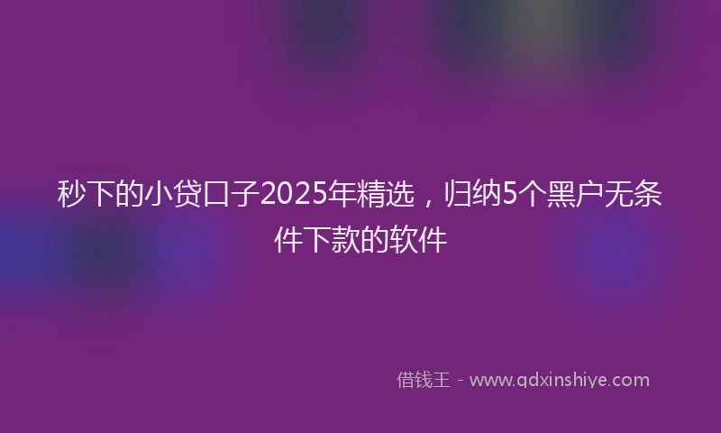秒下的小贷口子2025年精选，归纳5个黑户无条件下款的软件