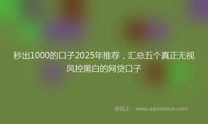 秒出1000的口子2025年推荐，汇总五个真正无视风控黑白的网贷口子