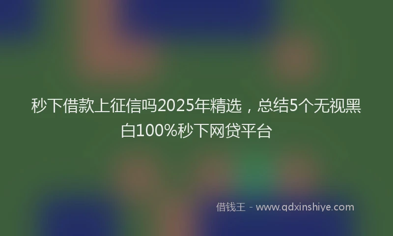 秒下借款上征信吗2025年精选，总结5个无视黑白100%秒下网贷平台