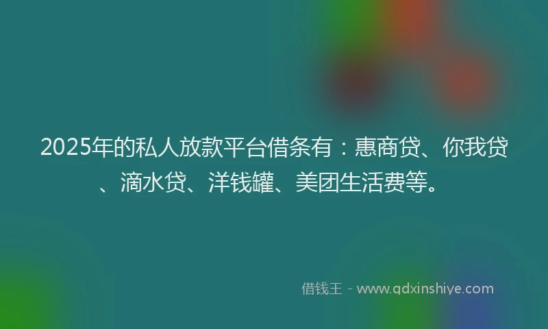 2025年的私人放款平台借条有：惠商贷、你我贷、滴水贷、洋钱罐、美团生活费等。