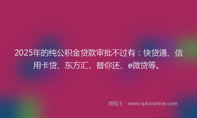 2025年的纯公积金贷款审批不过有：快贷通、信用卡贷、东方汇、替你还、e微贷等。