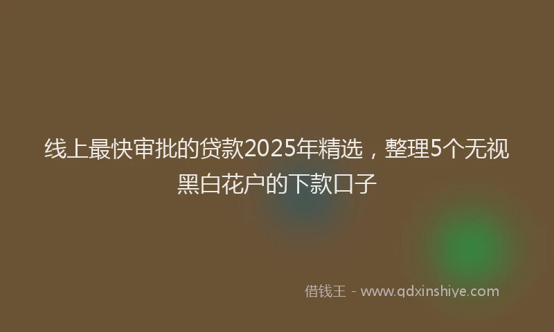 线上最快审批的贷款2025年精选，整理5个无视黑白花户的下款口子