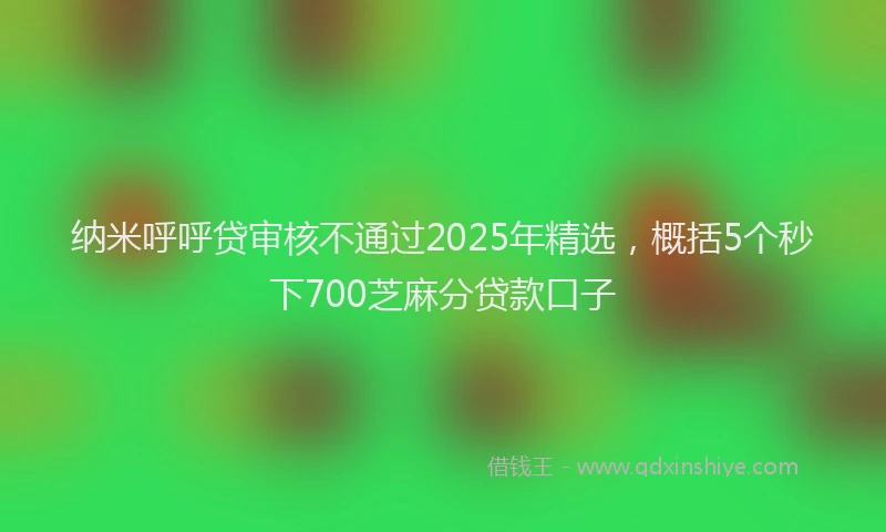 纳米呼呼贷审核不通过2025年精选，概括5个秒下700芝麻分贷款口子