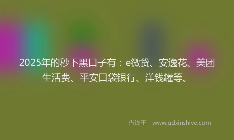 2025年的秒下黑口子有：e微贷、安逸花、美团生活费、平安口袋银行、洋钱罐等。