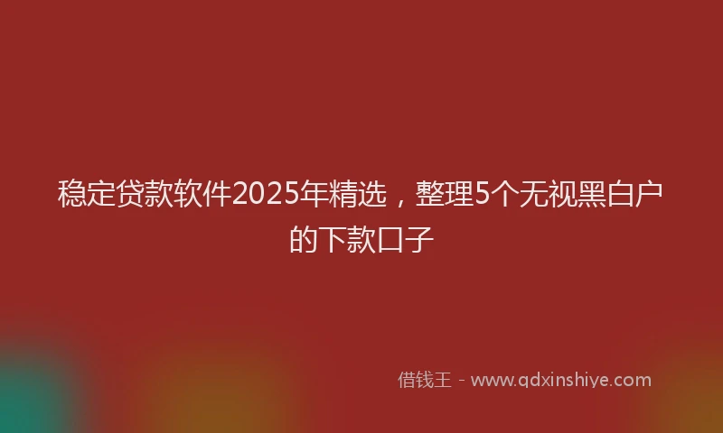 稳定贷款软件2025年精选，整理5个无视黑白户的下款口子