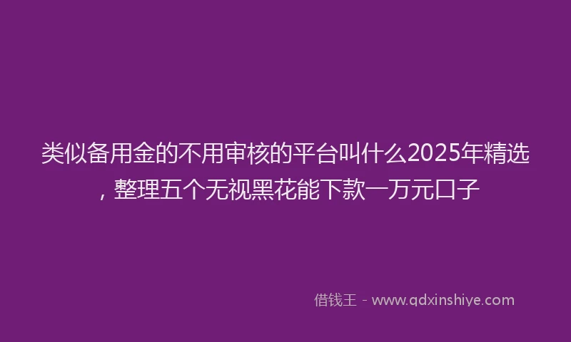 类似备用金的不用审核的平台叫什么2025年精选，整理五个无视黑花能下款一万元口子