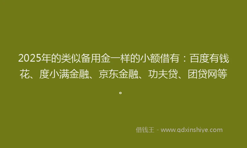 2025年的类似备用金一样的小额借有：百度有钱花、度小满金融、京东金融、功夫贷、团贷网等。
