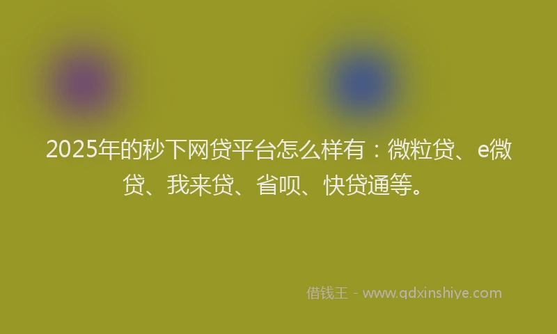 2025年的秒下网贷平台怎么样有：微粒贷、e微贷、我来贷、省呗、快贷通等。