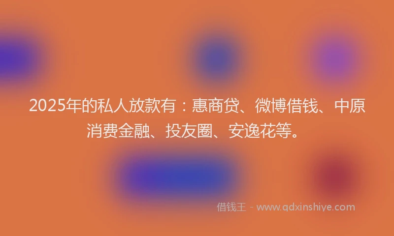 2025年的私人放款有：惠商贷、微博借钱、中原消费金融、投友圈、安逸花等。