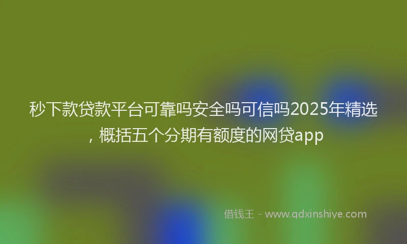 秒下款贷款平台可靠吗安全吗可信吗2025年精选，概括五个分期有额度的网贷app
