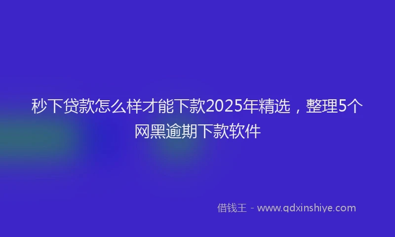 秒下贷款怎么样才能下款2025年精选，整理5个网黑逾期下款软件