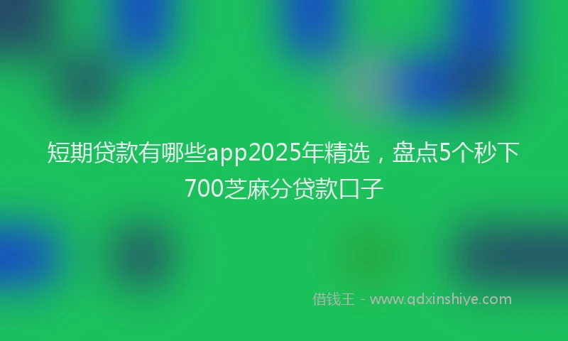 短期贷款有哪些app2025年精选，盘点5个秒下700芝麻分贷款口子