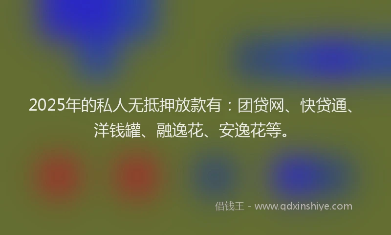 2025年的私人无抵押放款有：团贷网、快贷通、洋钱罐、融逸花、安逸花等。