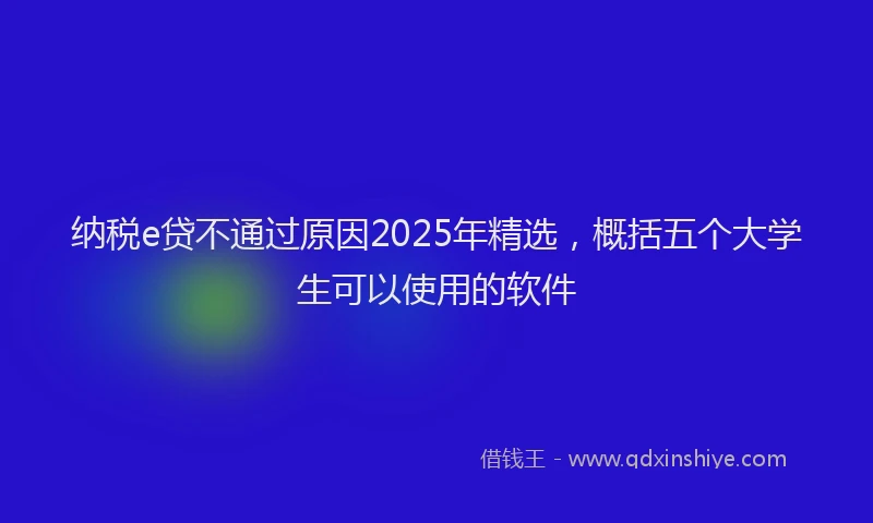 纳税e贷不通过原因2025年精选，概括五个大学生可以使用的软件