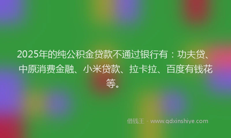 2025年的纯公积金贷款不通过银行有：功夫贷、中原消费金融、小米贷款、拉卡拉、百度有钱花等。