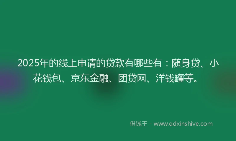 2025年的线上申请的贷款有哪些有：随身贷、小花钱包、京东金融、团贷网、洋钱罐等。