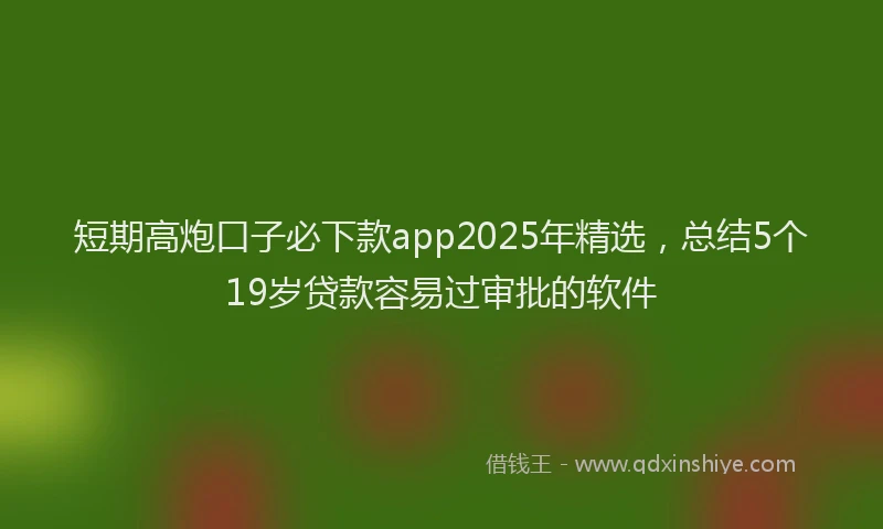 短期高炮口子必下款app2025年精选，总结5个19岁贷款容易过审批的软件