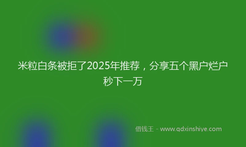 米粒白条被拒了2025年推荐，分享五个黑户烂户秒下一万