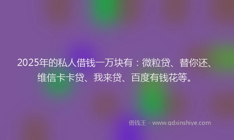 2025年的私人借钱一万块有：微粒贷、替你还、维信卡卡贷、我来贷、百度有钱花等。