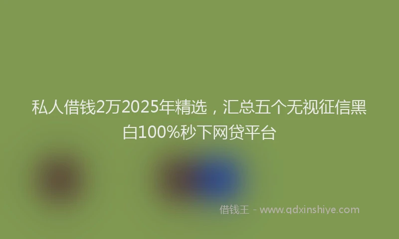 私人借钱2万2025年精选，汇总五个无视征信黑白100%秒下网贷平台