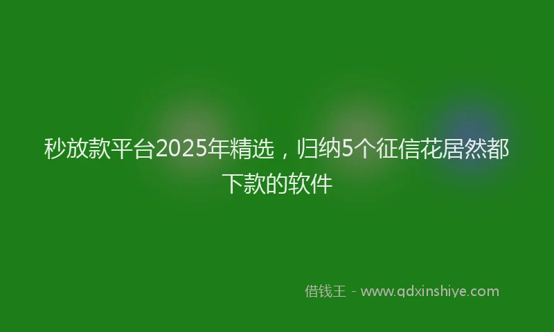 秒放款平台2025年精选，归纳5个征信花居然都下款的软件