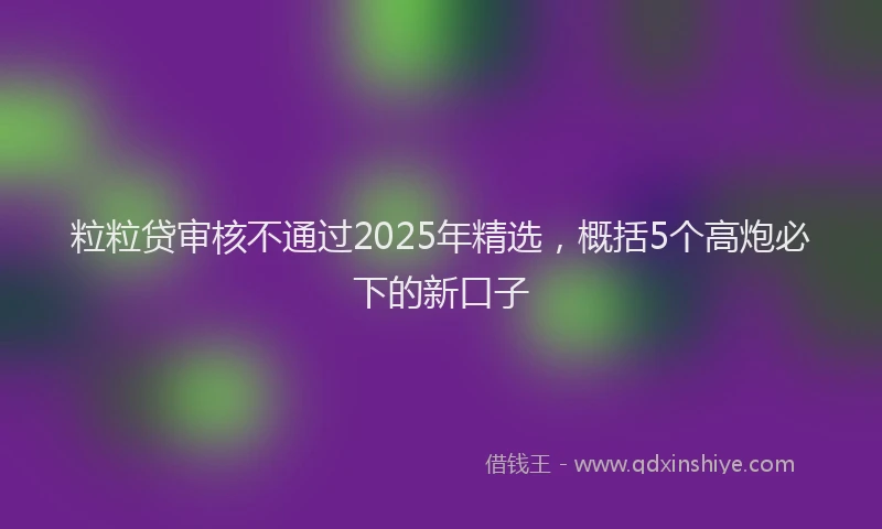 粒粒贷审核不通过2025年精选，概括5个高炮必下的新口子
