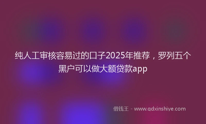纯人工审核容易过的口子2025年推荐，罗列五个黑户可以做大额贷款app