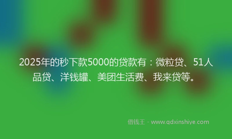 2025年的秒下款5000的贷款有：微粒贷、51人品贷、洋钱罐、美团生活费、我来贷等。