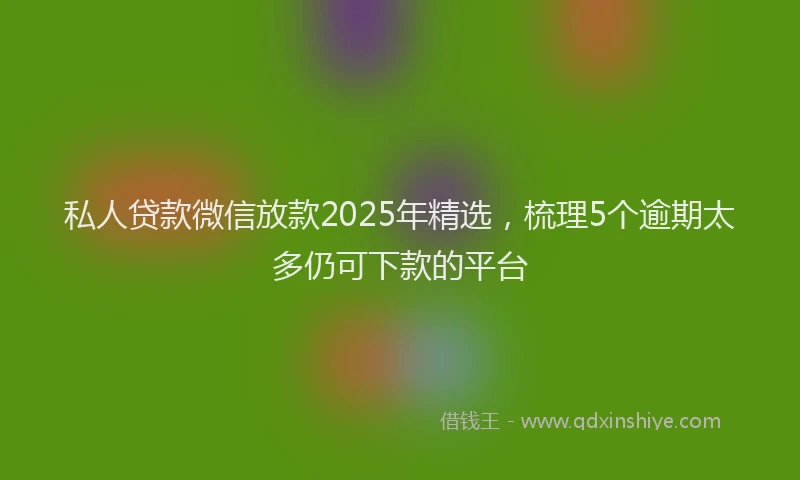 私人贷款微信放款2025年精选，梳理5个逾期太多仍可下款的平台