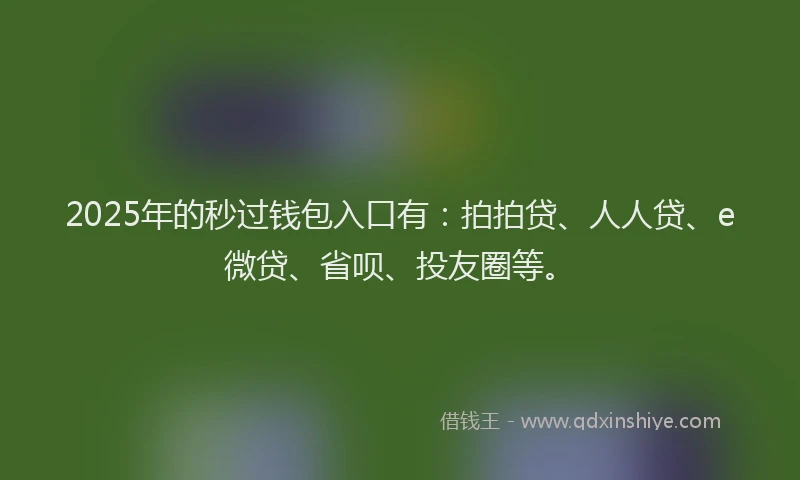 2025年的秒过钱包入口有：拍拍贷、人人贷、e微贷、省呗、投友圈等。