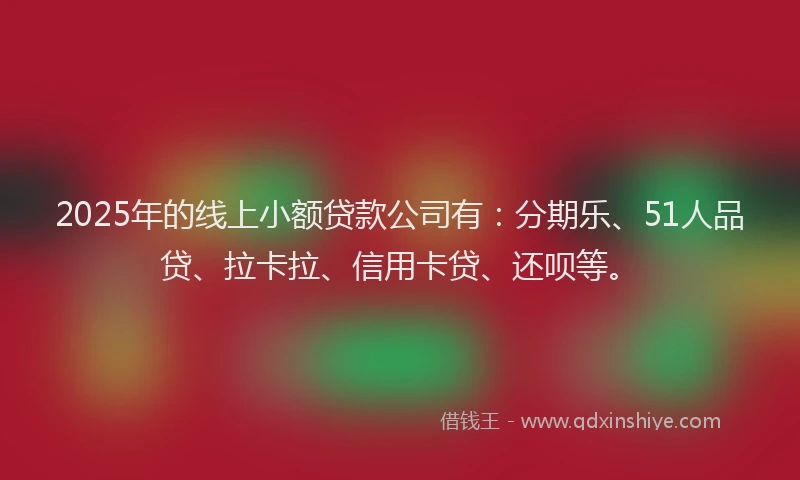 2025年的线上小额贷款公司有：分期乐、51人品贷、拉卡拉、信用卡贷、还呗等。