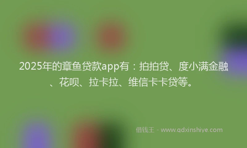 2025年的章鱼贷款app有：拍拍贷、度小满金融、花呗、拉卡拉、维信卡卡贷等。