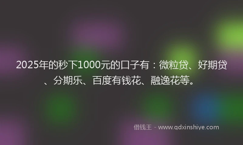 2025年的秒下1000元的口子有：微粒贷、好期贷、分期乐、百度有钱花、融逸花等。