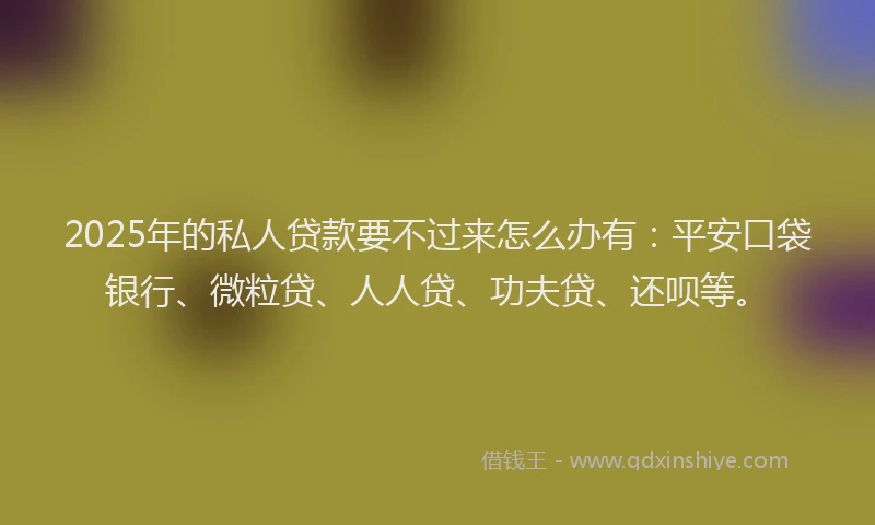2025年的私人贷款要不过来怎么办有：平安口袋银行、微粒贷、人人贷、功夫贷、还呗等。