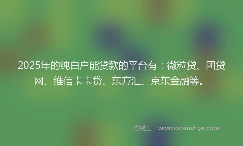2025年的纯白户能贷款的平台有：微粒贷、团贷网、维信卡卡贷、东方汇、京东金融等。