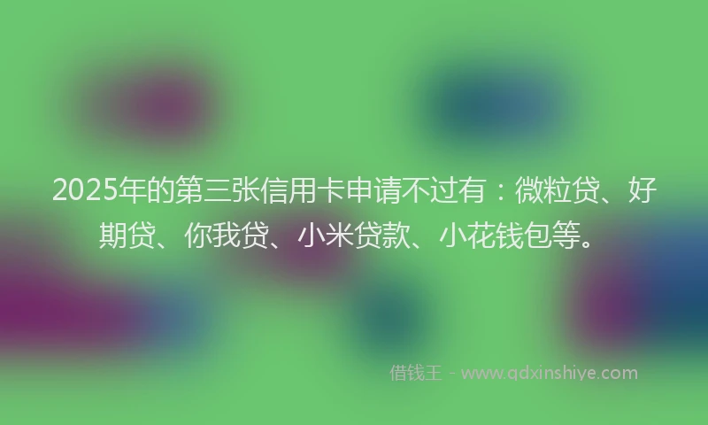 2025年的第三张信用卡申请不过有：微粒贷、好期贷、你我贷、小米贷款、小花钱包等。