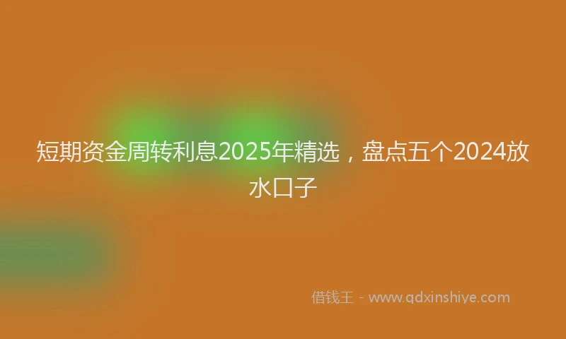短期资金周转利息2025年精选，盘点五个2024放水口子