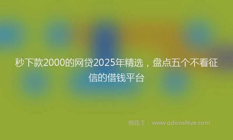 秒下款2000的网贷2025年精选，盘点五个不看征信的借钱平台