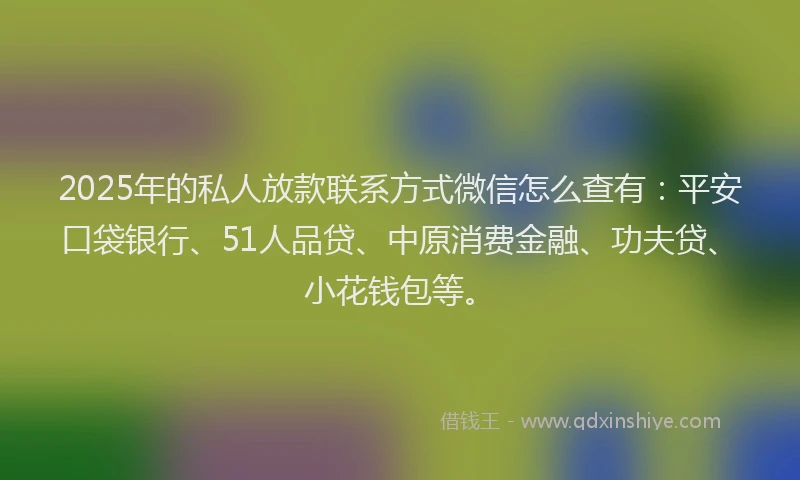 2025年的私人放款联系方式微信怎么查有：平安口袋银行、51人品贷、中原消费金融、功夫贷、小花钱包等。