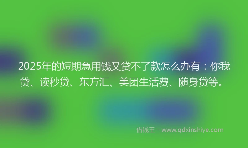 2025年的短期急用钱又贷不了款怎么办有：你我贷、读秒贷、东方汇、美团生活费、随身贷等。