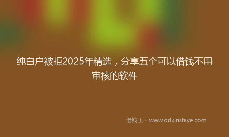 纯白户被拒2025年精选，分享五个可以借钱不用审核的软件