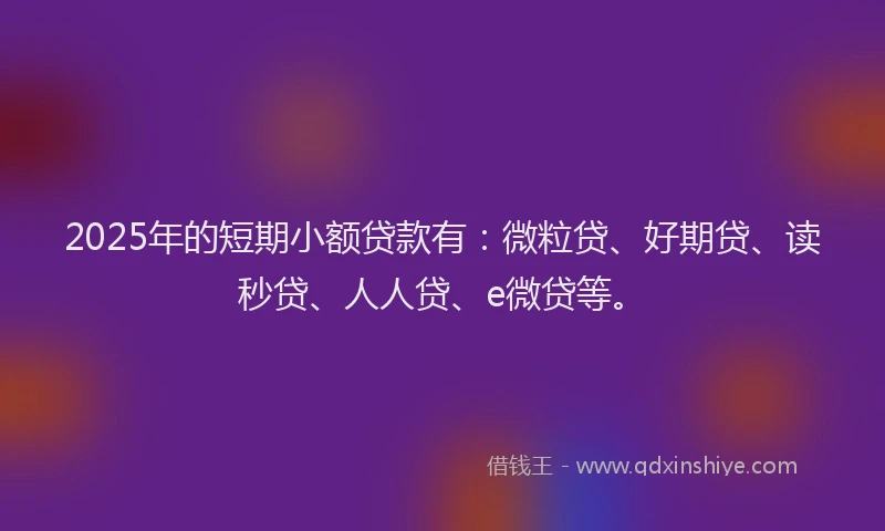 2025年的短期小额贷款有：微粒贷、好期贷、读秒贷、人人贷、e微贷等。