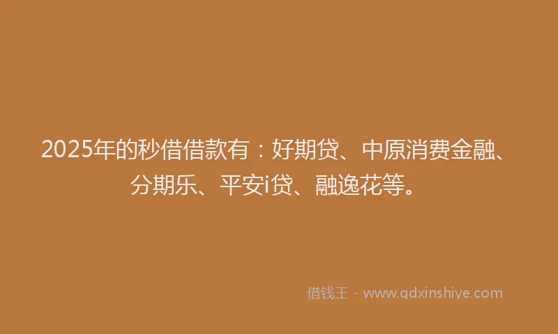 2025年的秒借借款有：好期贷、中原消费金融、分期乐、平安i贷、融逸花等。