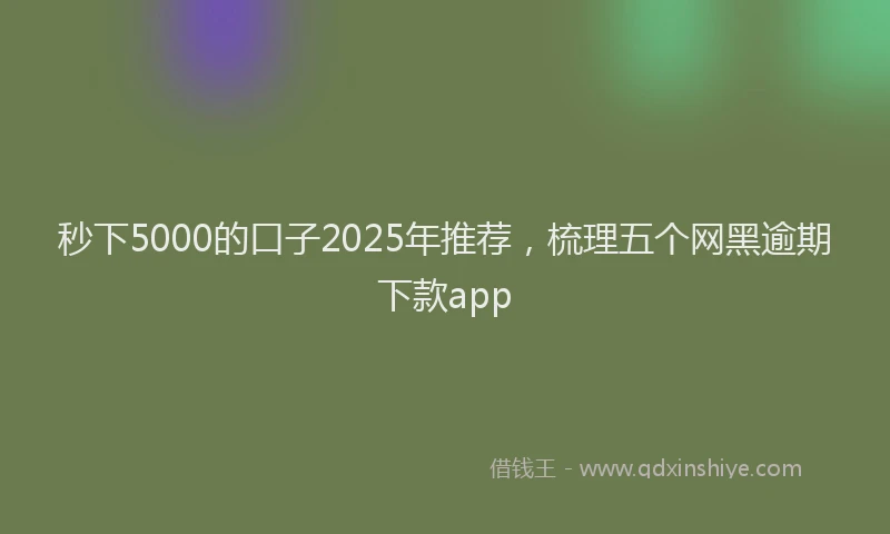 秒下5000的口子2025年推荐，梳理五个网黑逾期下款app