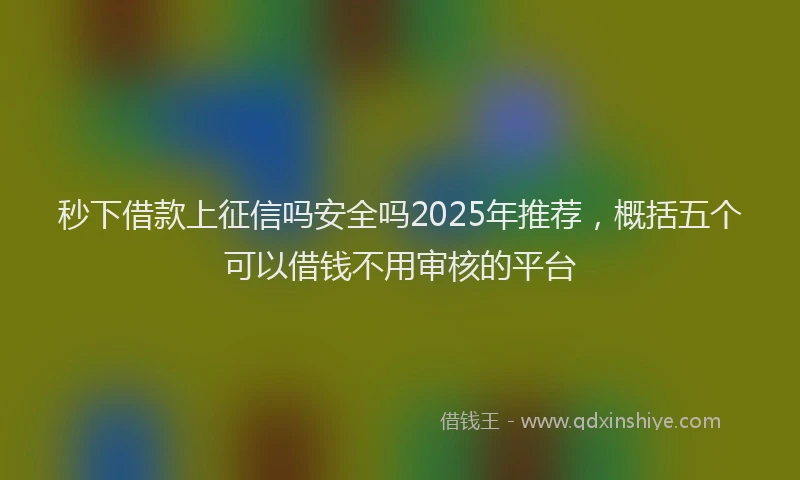秒下借款上征信吗安全吗2025年推荐，概括五个可以借钱不用审核的平台