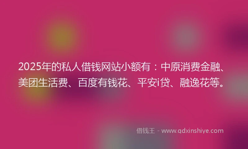2025年的私人借钱网站小额有：中原消费金融、美团生活费、百度有钱花、平安i贷、融逸花等。