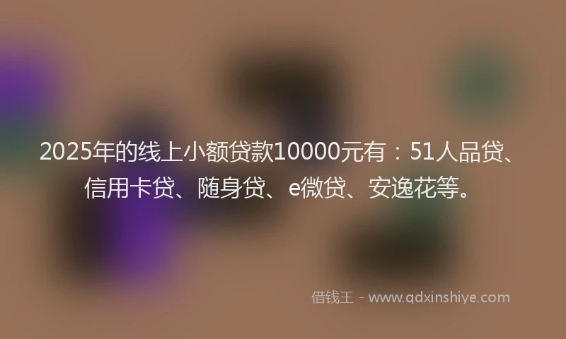 2025年的线上小额贷款10000元有：51人品贷、信用卡贷、随身贷、e微贷、安逸花等。