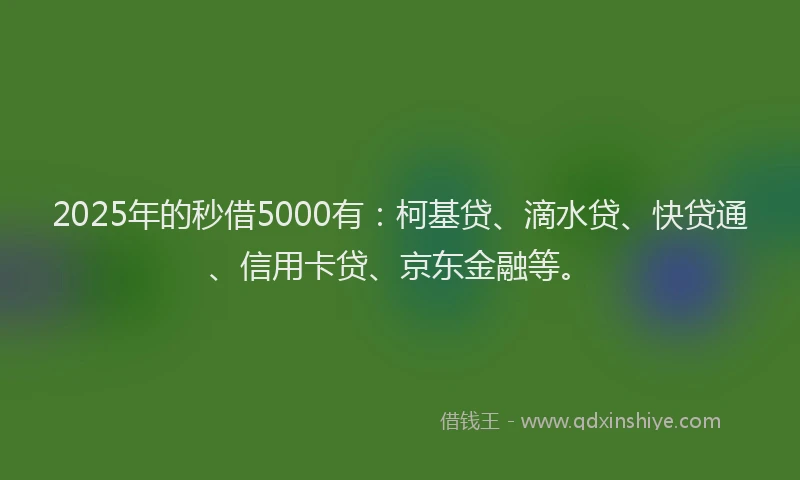 2025年的秒借5000有：柯基贷、滴水贷、快贷通、信用卡贷、京东金融等。