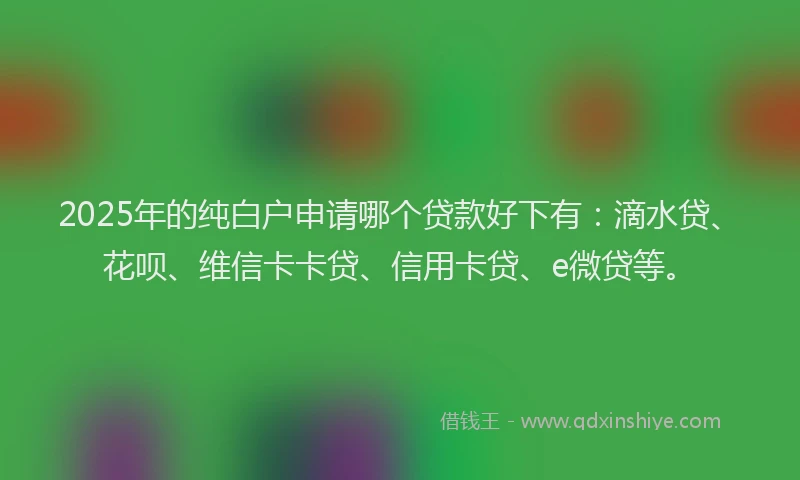 2025年的纯白户申请哪个贷款好下有：滴水贷、花呗、维信卡卡贷、信用卡贷、e微贷等。